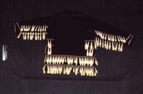 Image representing Jacket.