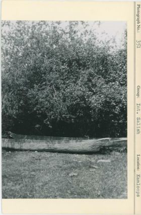 Image representing photograph.