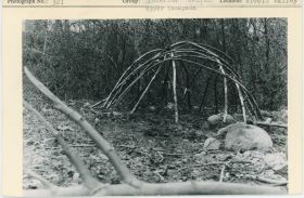 Image representing photograph.