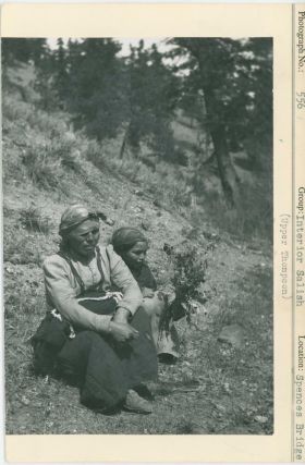 Image representing photograph.