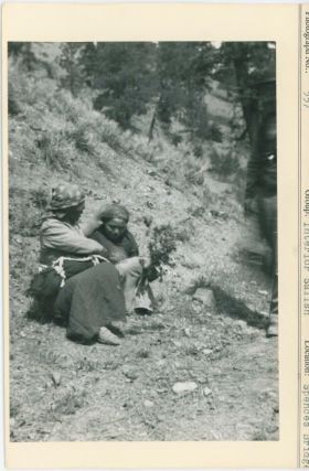 Image representing photograph.