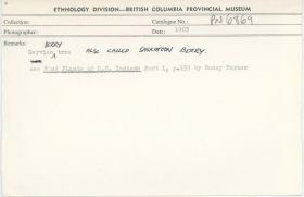 Image representing photograph.