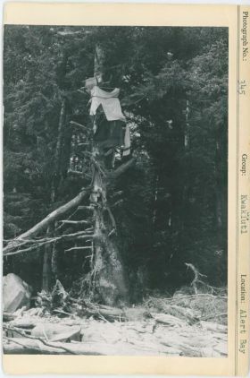 Image representing photograph.