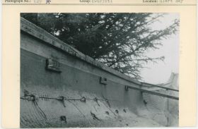 Image representing photograph.