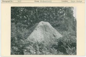 Image representing photograph.