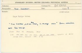 Image representing photograph.