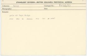 Image representing photograph.