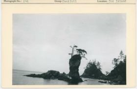 Image representing photograph.