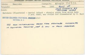 Image representing photograph.