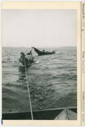 Image representing photograph.