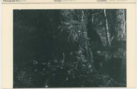 Image representing photograph.