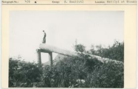 Image representing photograph.