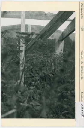 Image representing photograph.