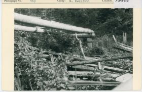 Image representing photograph.