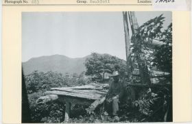 Image representing photograph.