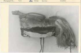 Image representing photograph.