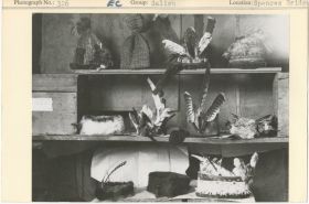 Image representing photograph.