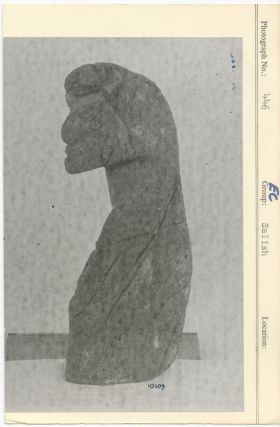 Image representing photograph.