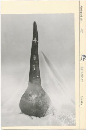 Image representing photograph.