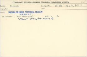 Image representing photograph.