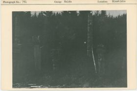 Image representing photograph.