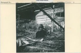 Image representing photograph.