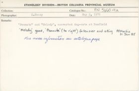 Image representing photograph.