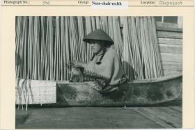 Image representing photograph.