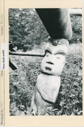 Image representing photograph.