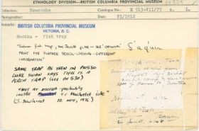 Image representing photograph.