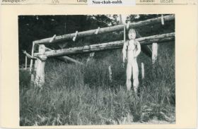 Image representing photograph.