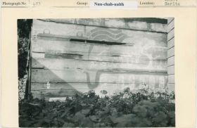 Image representing photograph.