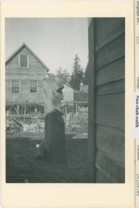 Image representing photograph.