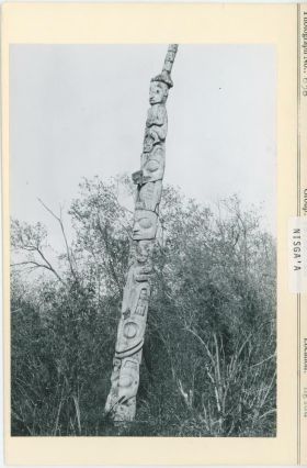 Image representing photograph.