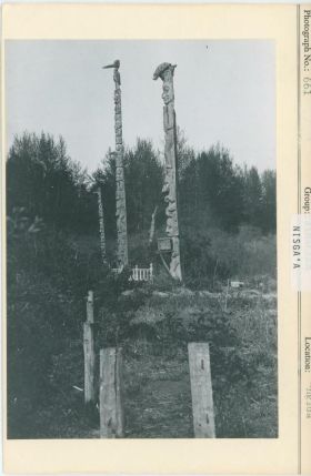 Image representing photograph.