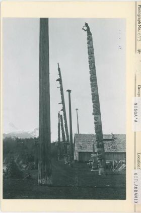 Image representing photograph.