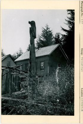 Image representing photograph.