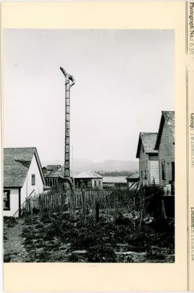 Image representing photograph.