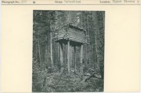 Image representing photograph.