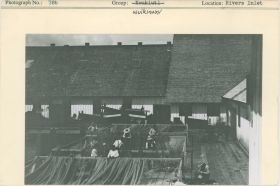 Image representing photograph.