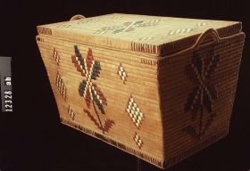 Image representing Trunk.