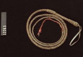 Image representing Whip.