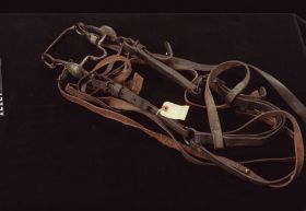 Image representing Bridle.