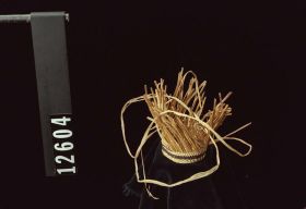 Image representing Basket.
