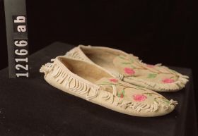 Image representing Moccasin.