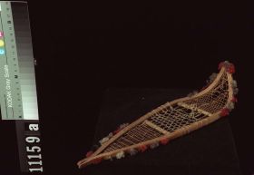 Image representing Snowshoe.