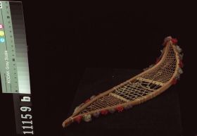 Image representing Snowshoe.