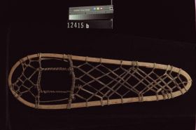 Image representing Snowshoes.