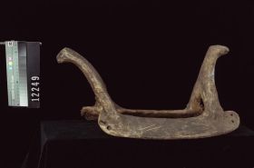 Image representing Saddle.