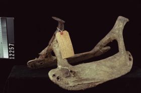 Image representing Saddle.